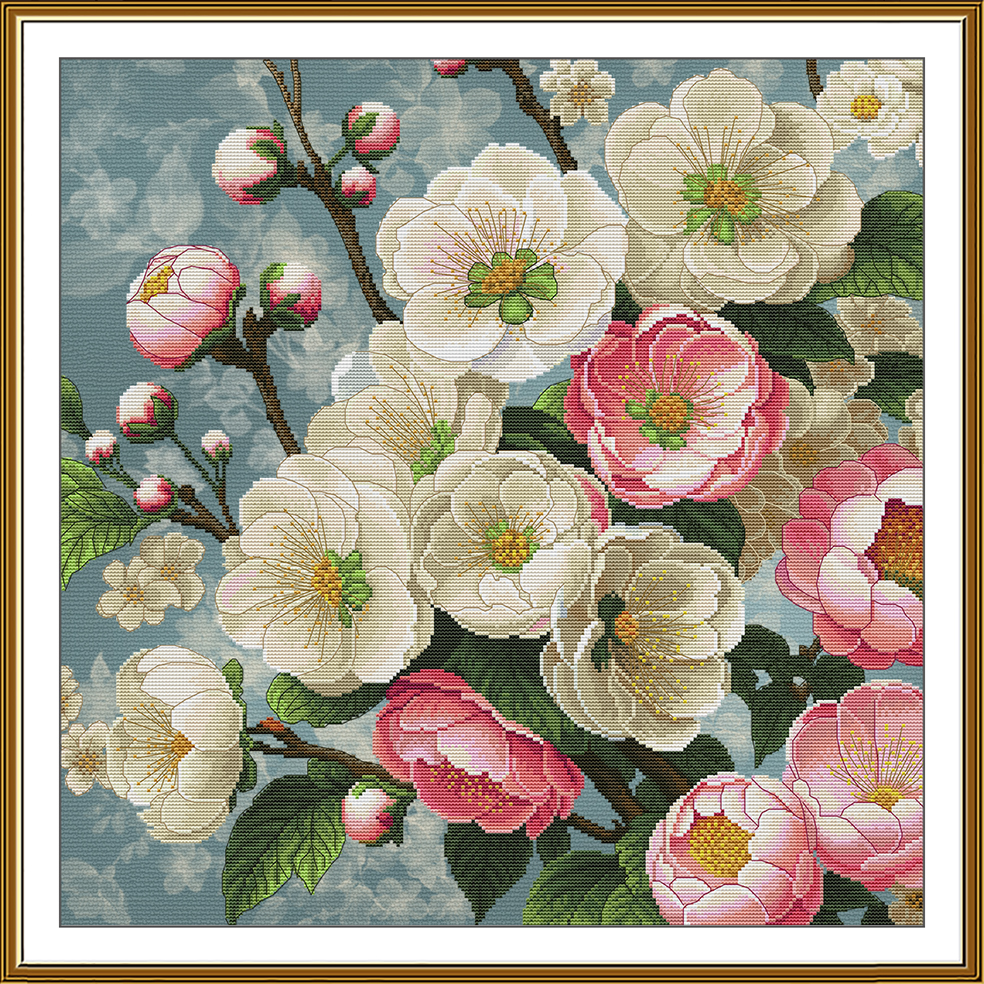 CP2327 Etude of tenderness