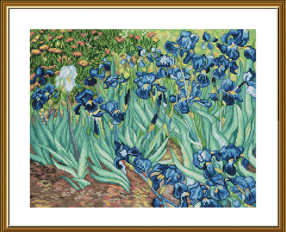 НВ3122 Irises