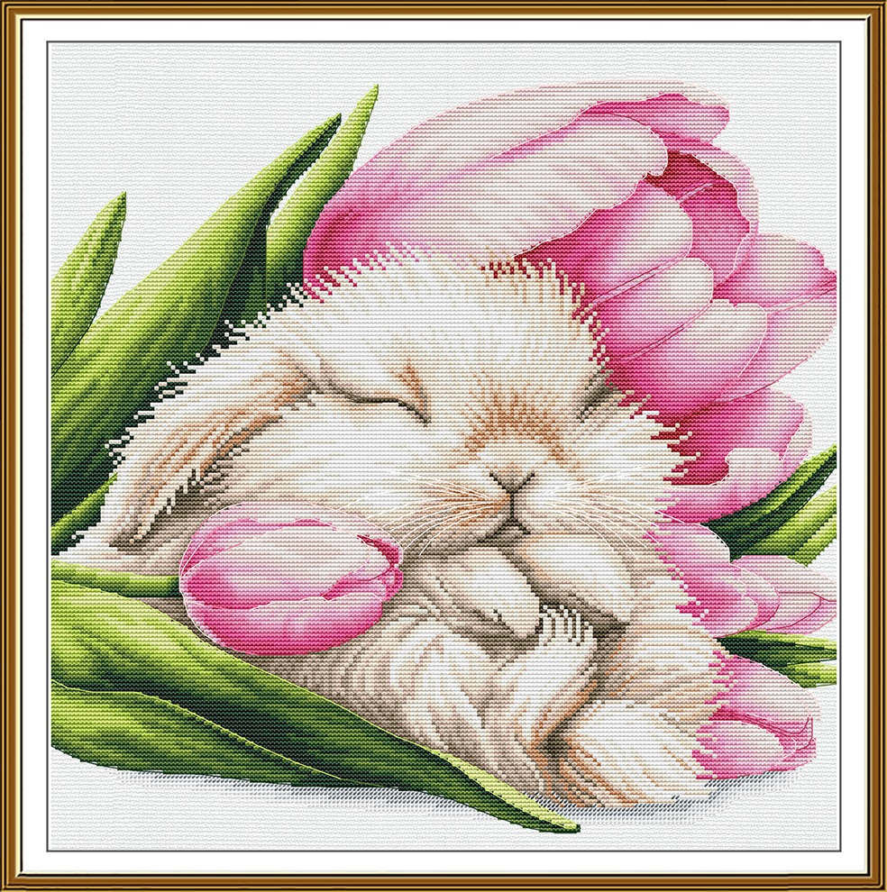 PE2005 Tulip dreams