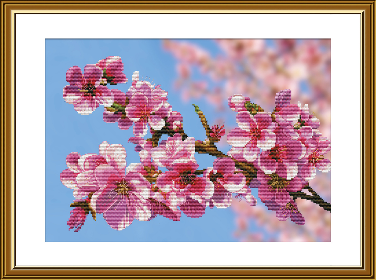 CP3262 Sakura
