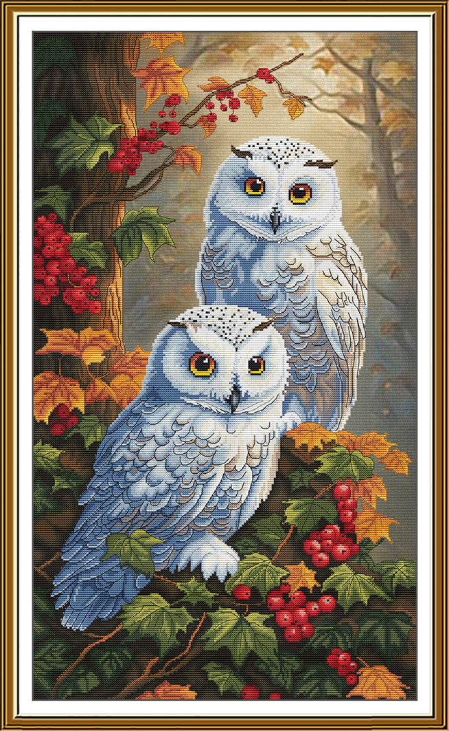 CP6262 Forest ladies