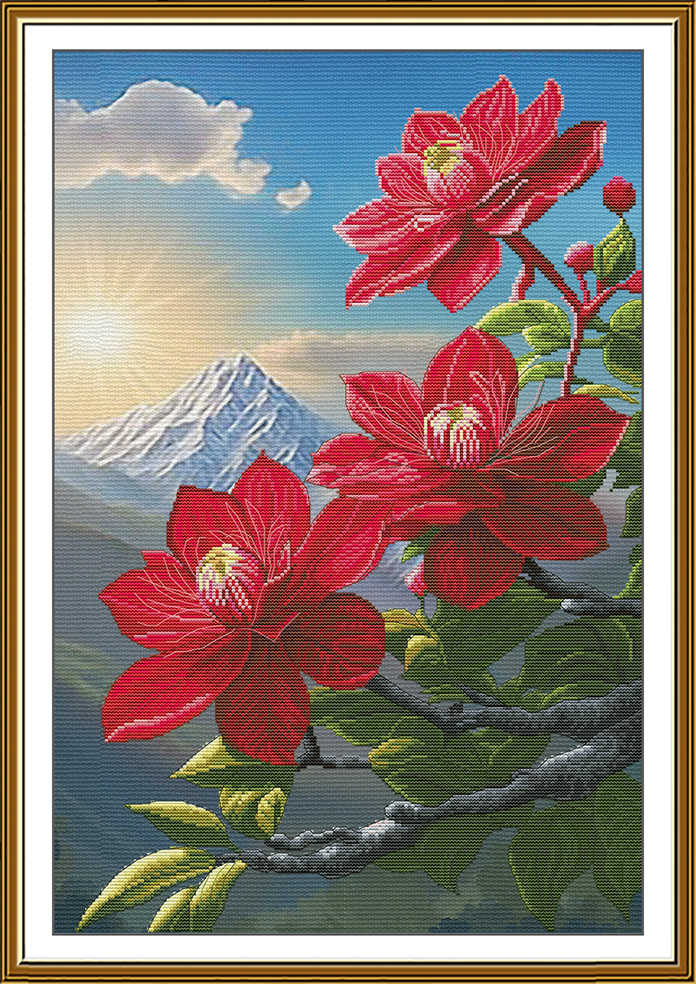 CP3414 Mountain beauty