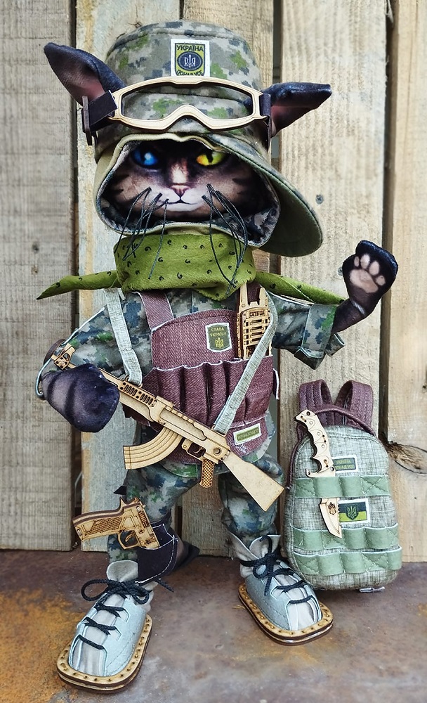 К1205 The infantry cat