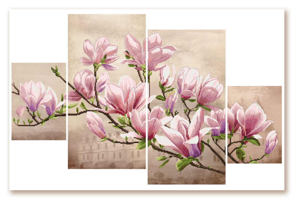 CB6550 Saucer magnolia