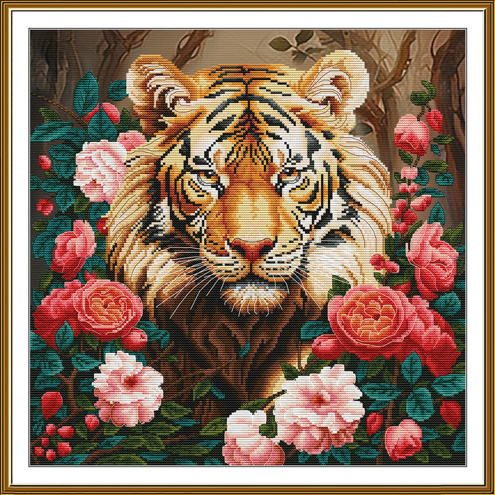CP2344 King of the Jungle
