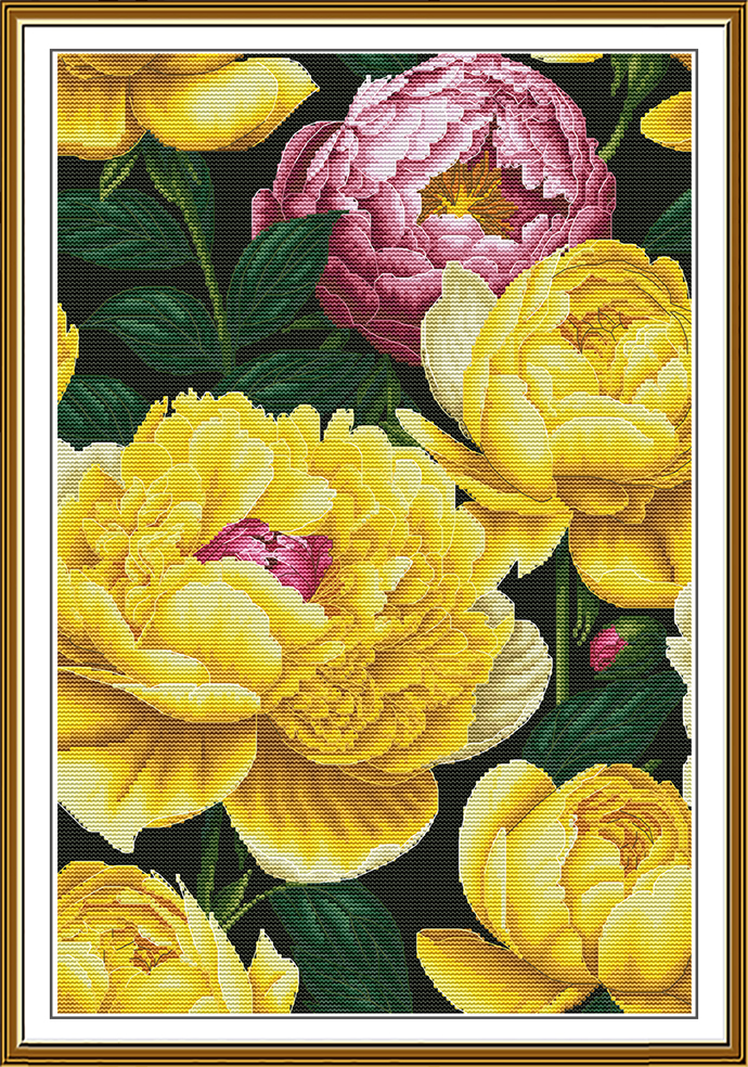 HB3151 Sunny peonies