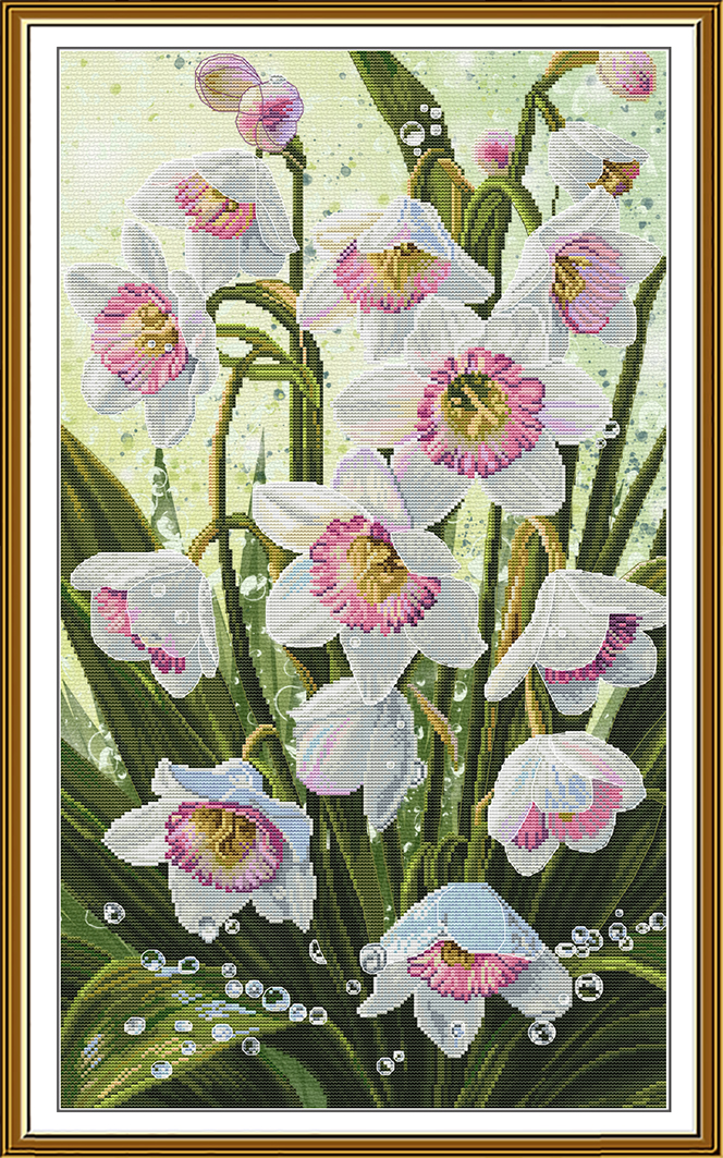 CP6282 Flower Dawn