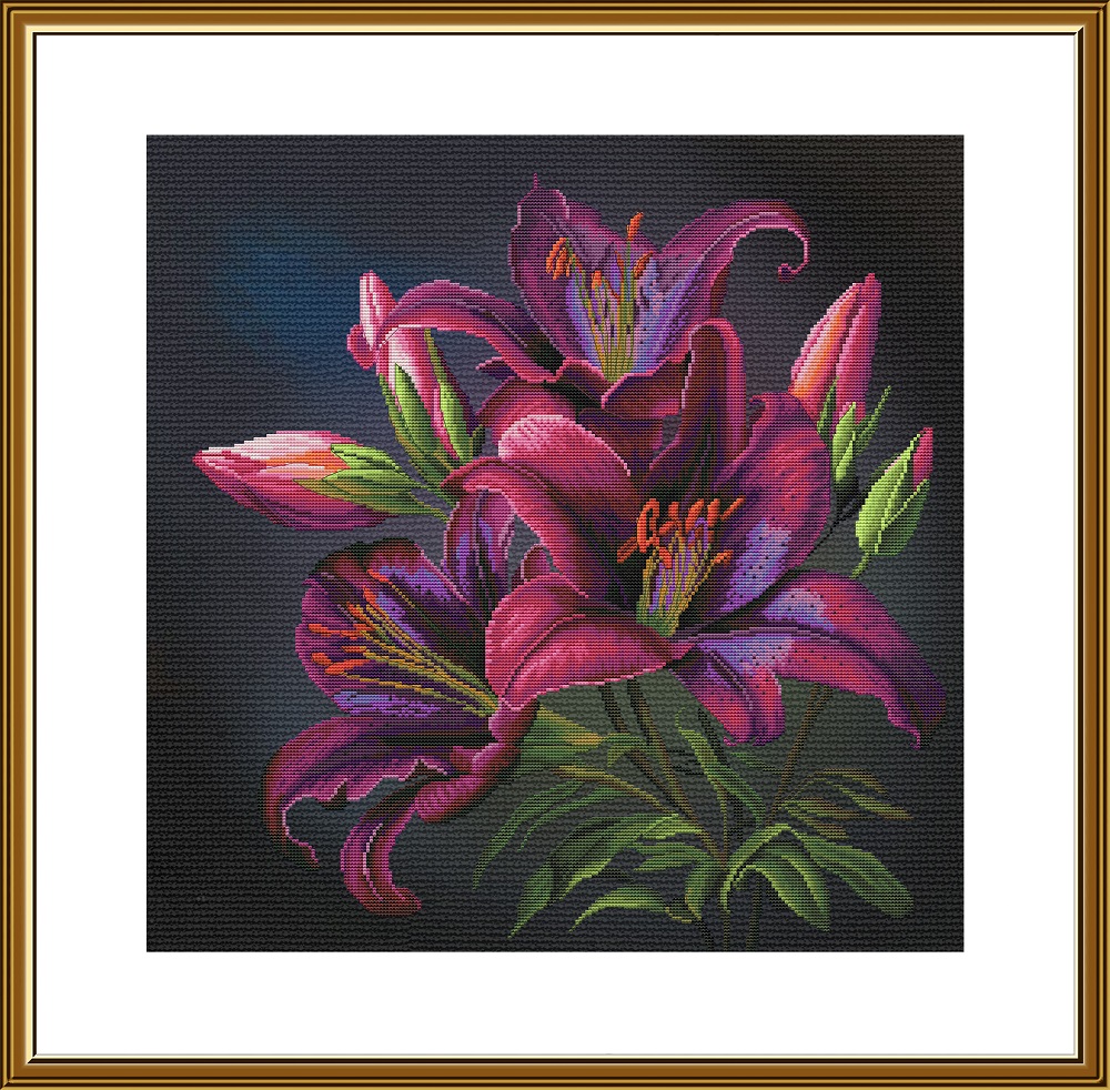 CP2312 Night lilies