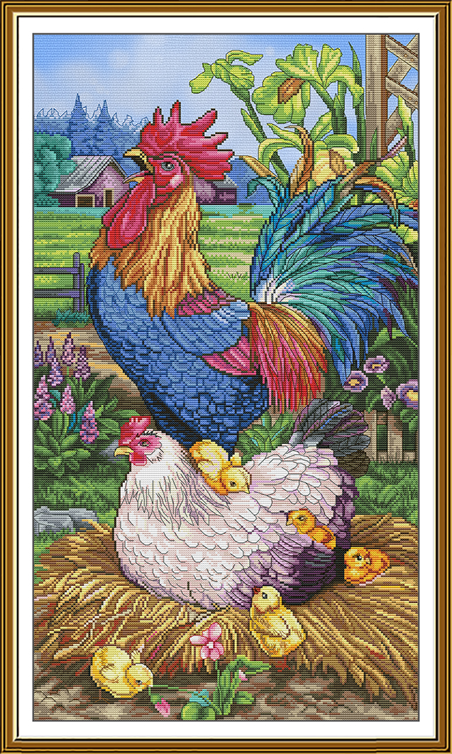 CP6275 The first rooster in the village