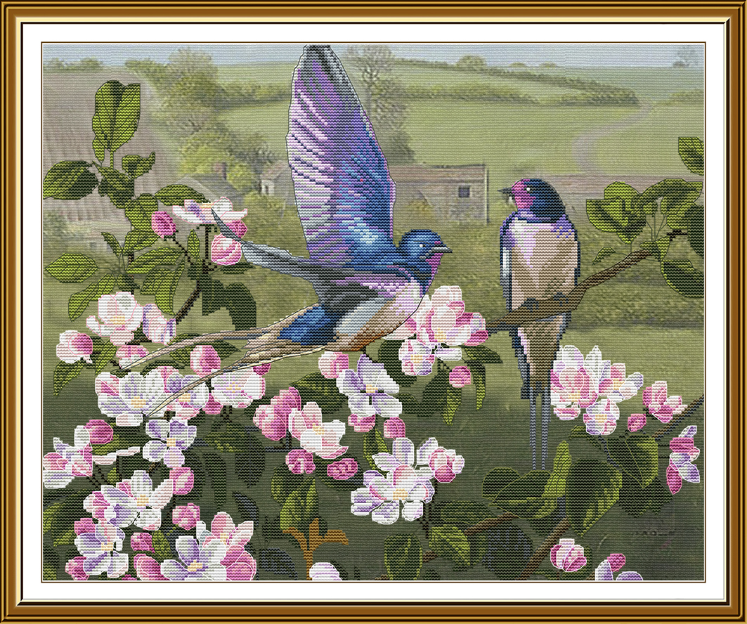 CP3443 Swallows