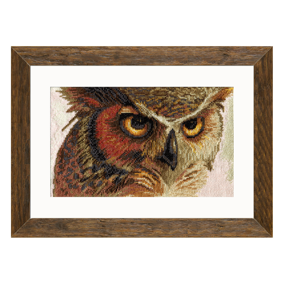 HB5509 Owl
