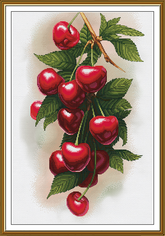 CP3455 Sweet cherry