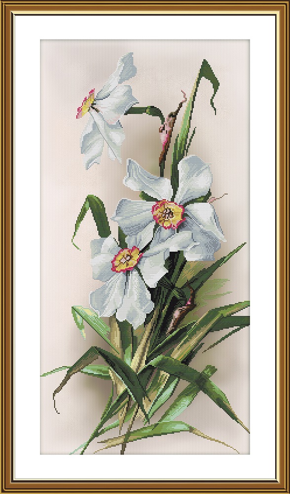 CP2289 Daffodils