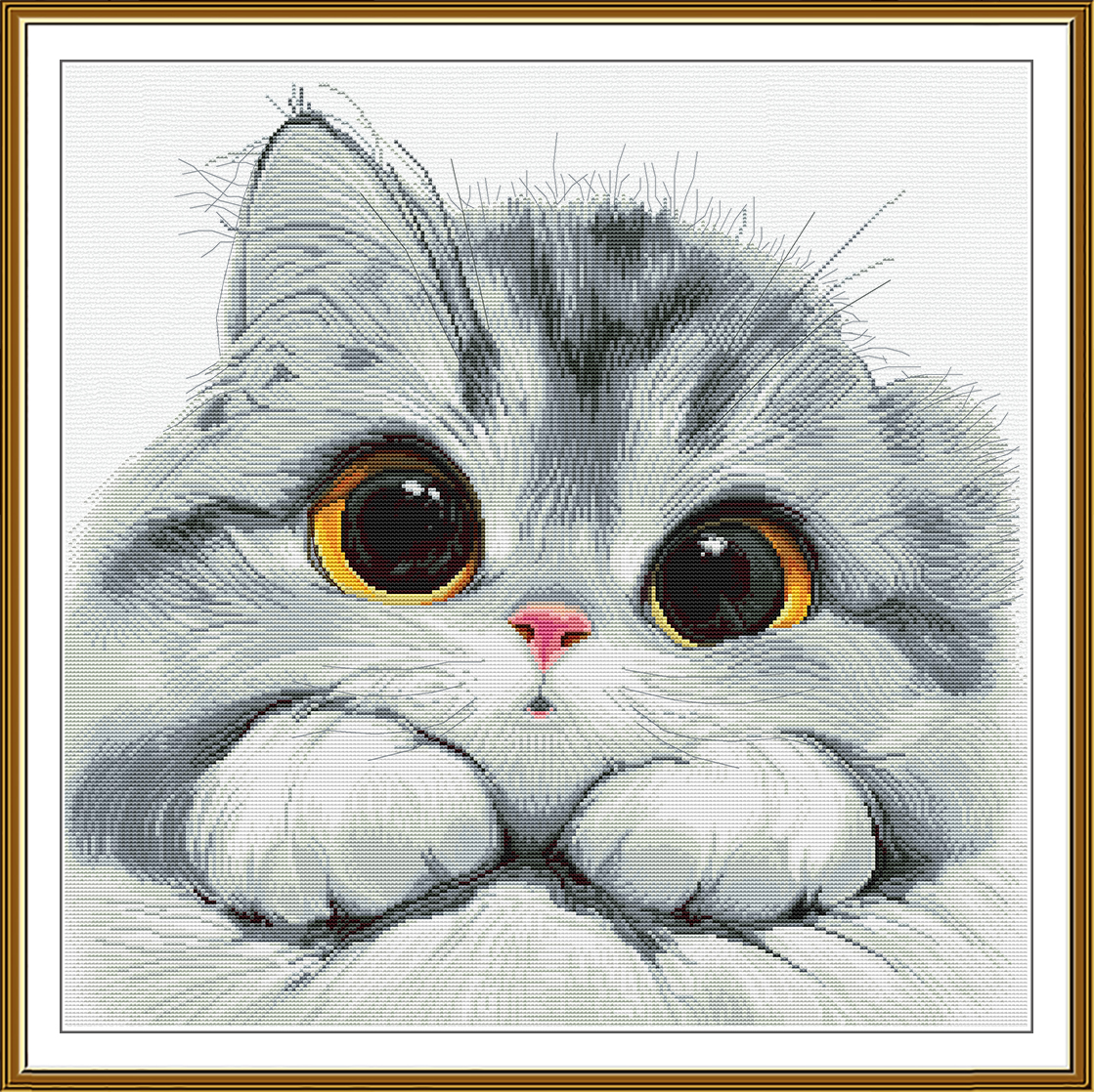 PE3618 Shy kitten