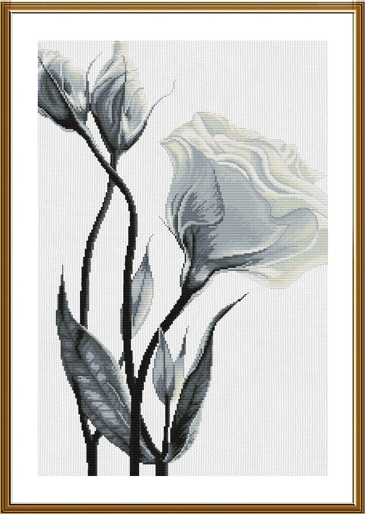 PE3541 White flowers of love