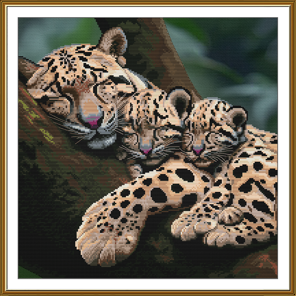 CP2334 Mom's siesta