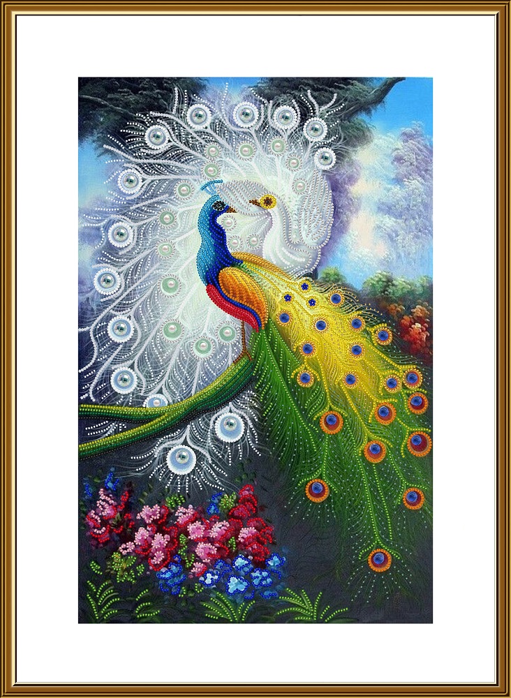 DK3363 Happy peacocks