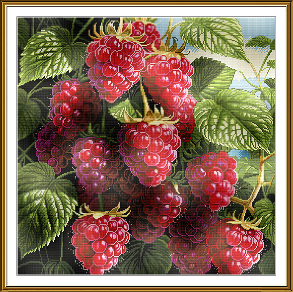 PE3605 Juicy raspberry!