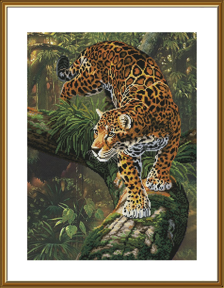 CP3383 Amazon jaguar