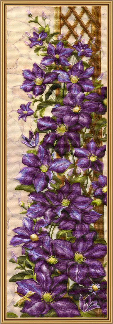 CB3088 Clematis