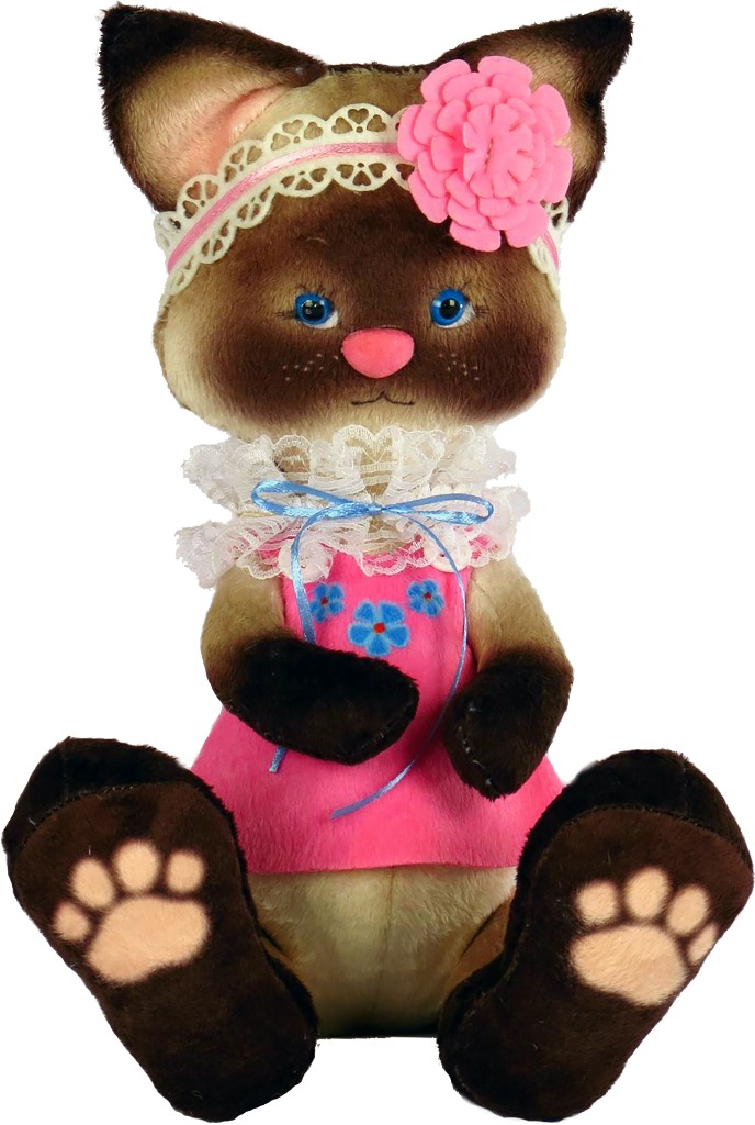 M4009 Siamese kitten