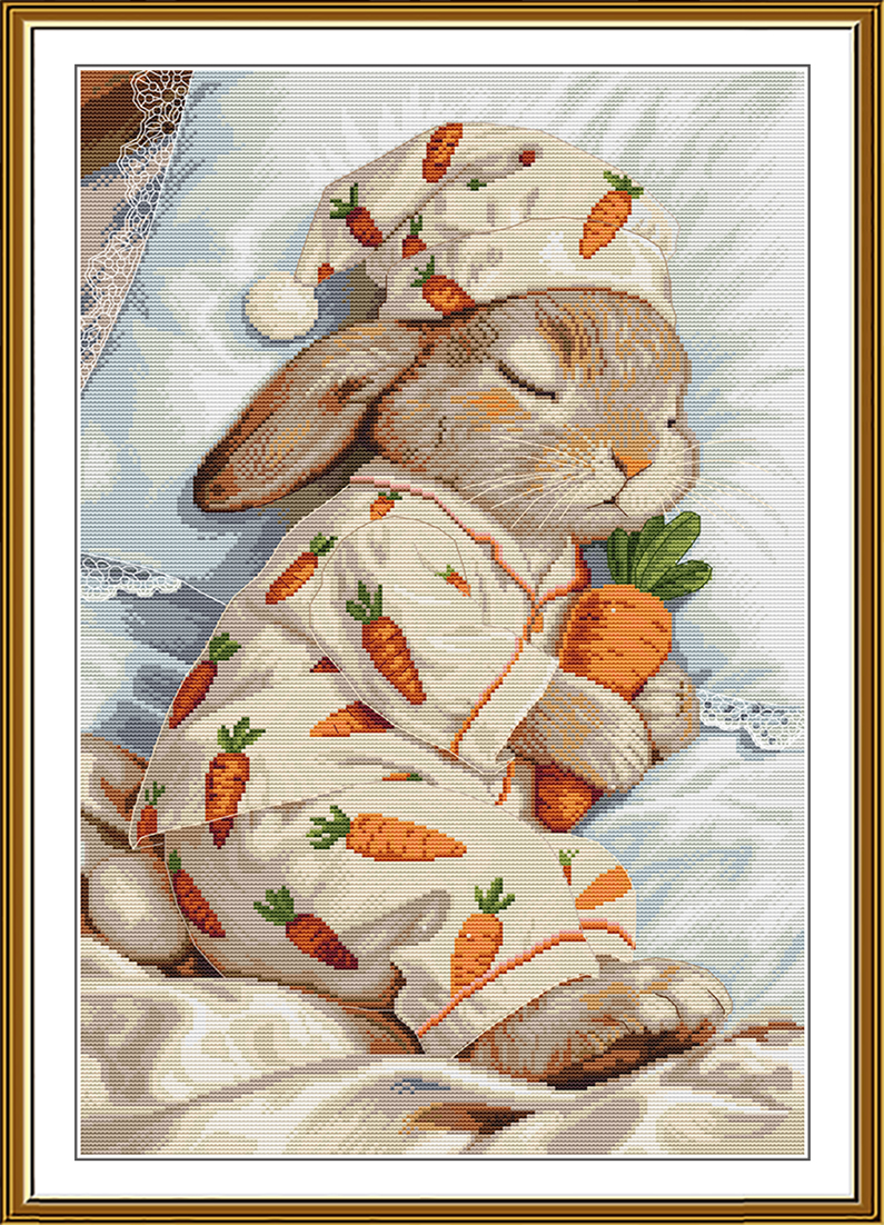 PE3630 Carrot dream