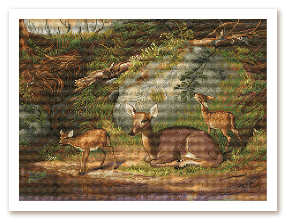 HB3008 Deer