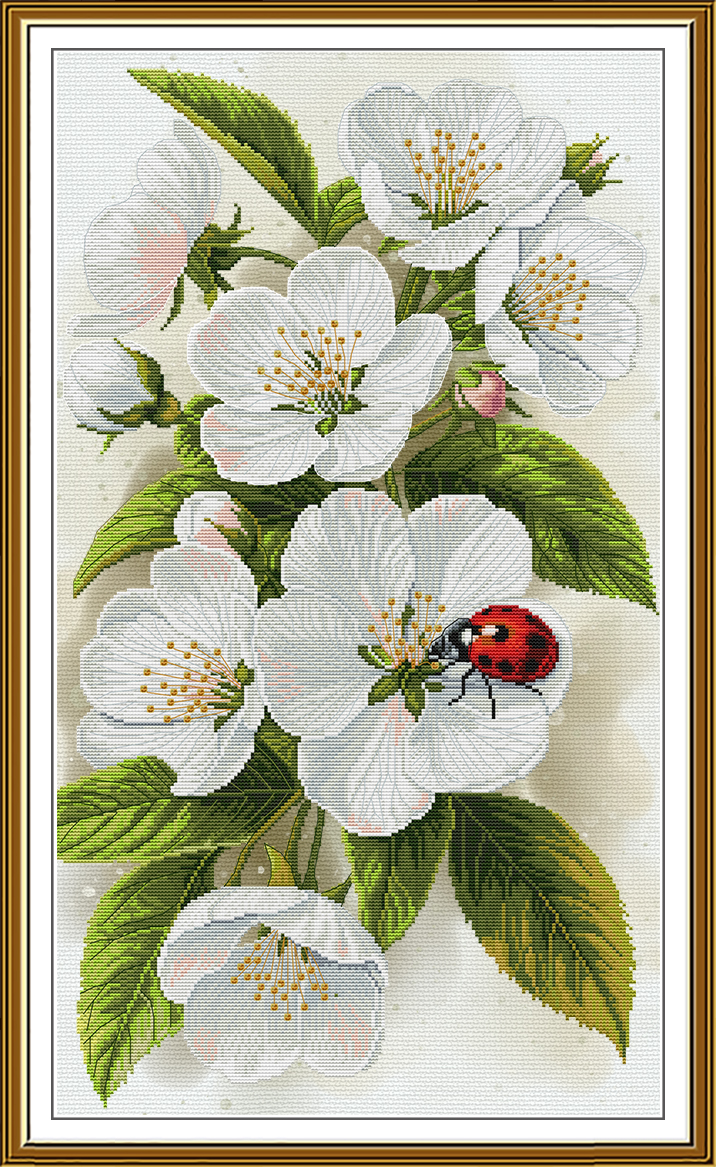 CP6307 Bliss of blossoming